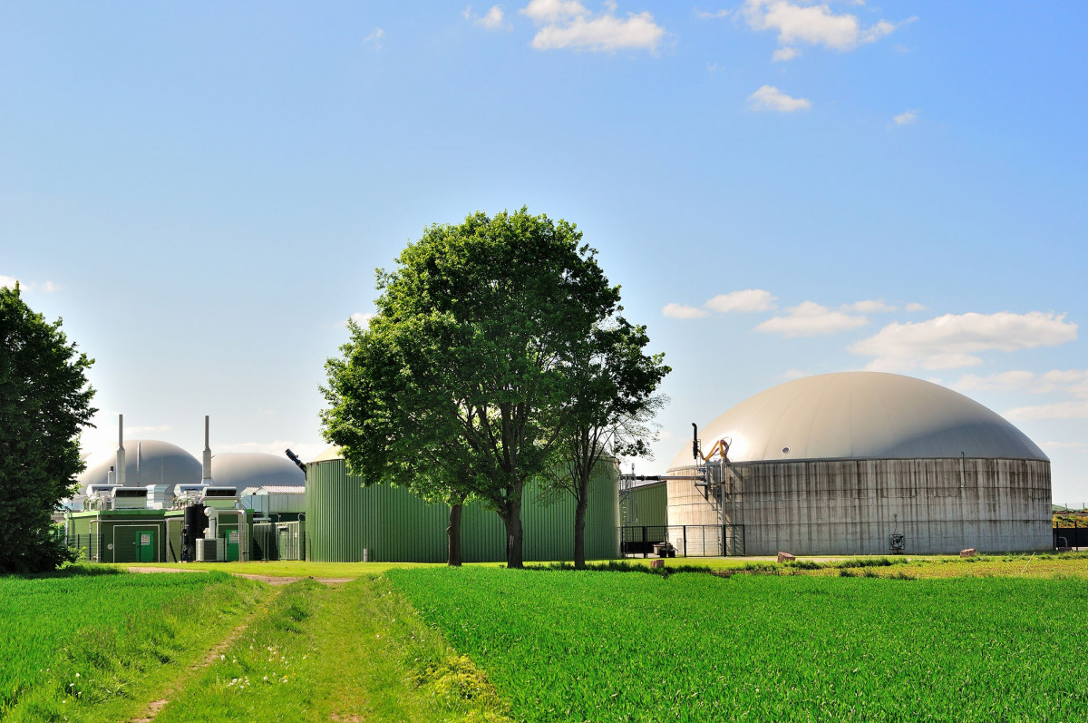 Biomass Gas Facility