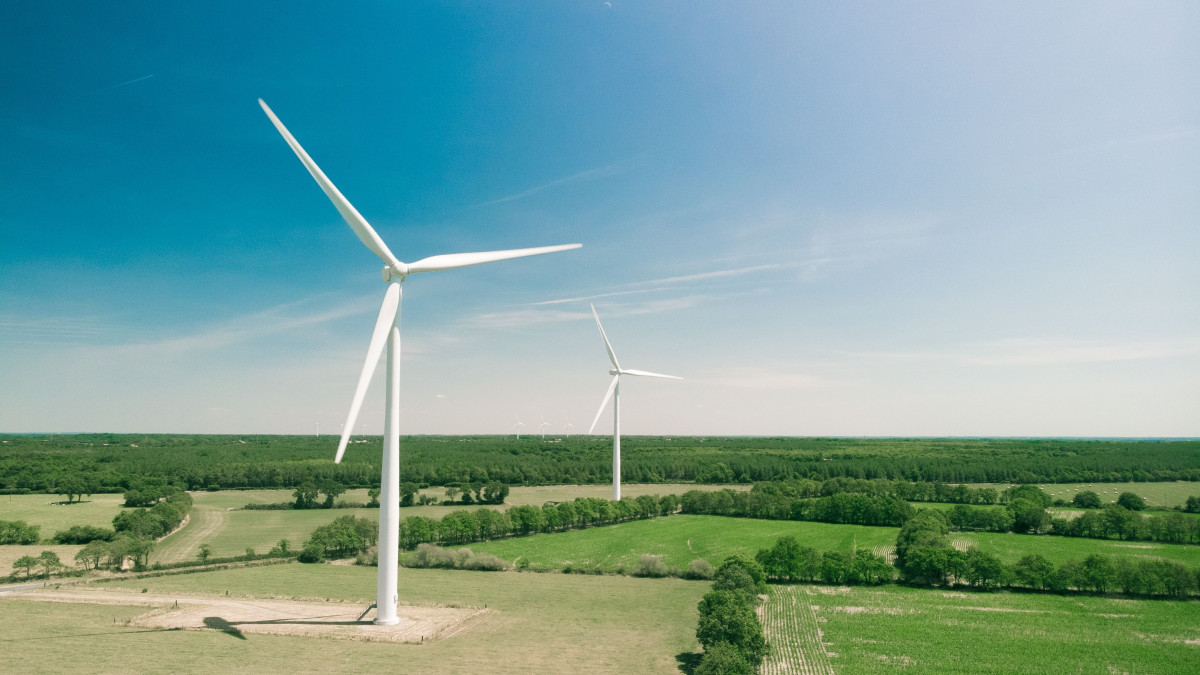 A couple of turbines within a wind farm on a clear day.