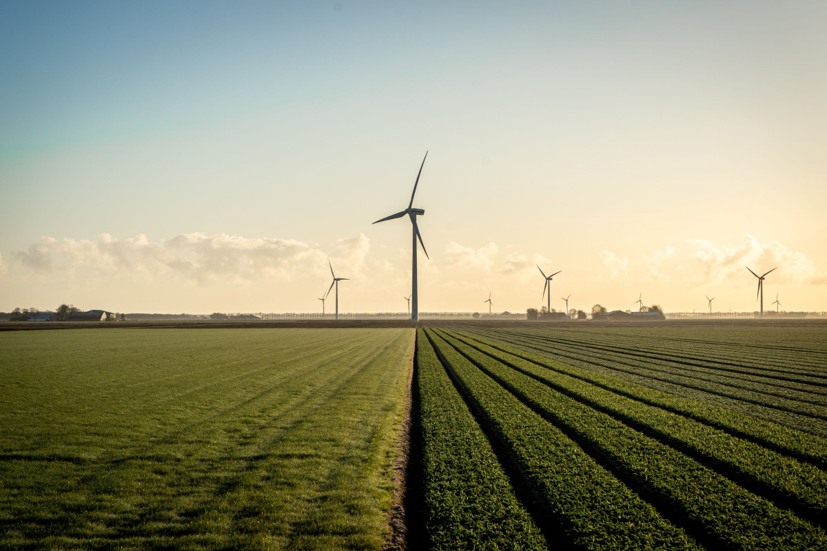 Onshore Renewables - A wind farm on a clear day